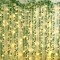 66LED IVY Leaf Curtain 1M(W) x 1.6M(L) 6 Strands Warm White Battery Operated